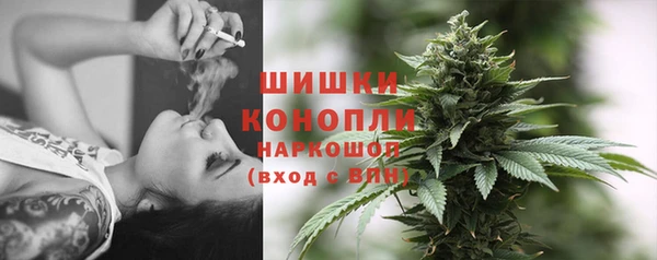 альфа пвп Гусев
