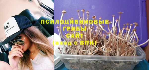 гашик Гусиноозёрск