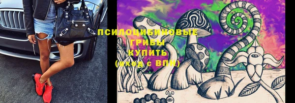 соль ск Гусь-Хрустальный