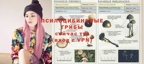 гашик Гусиноозёрск