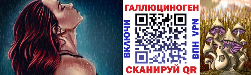 блэк спрут маркетплейс  Вологда  Галлюциногенные грибы MAGIC MUSHROOMS 